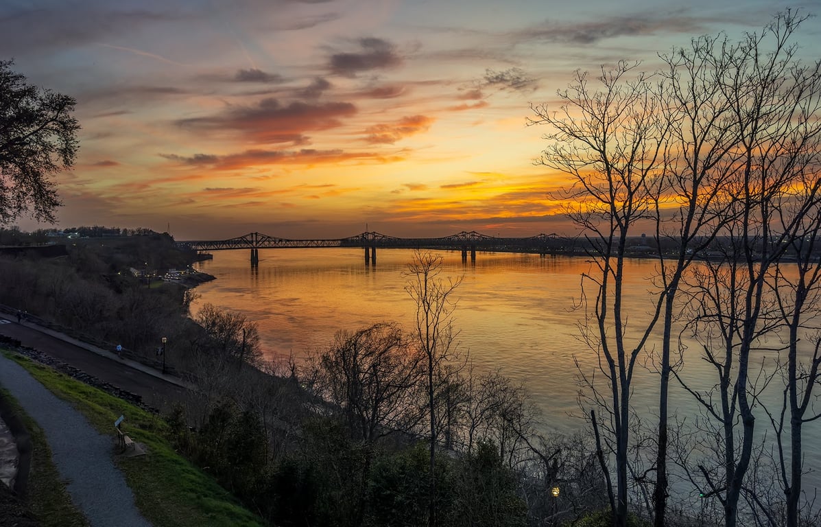 Natchez Bluffs