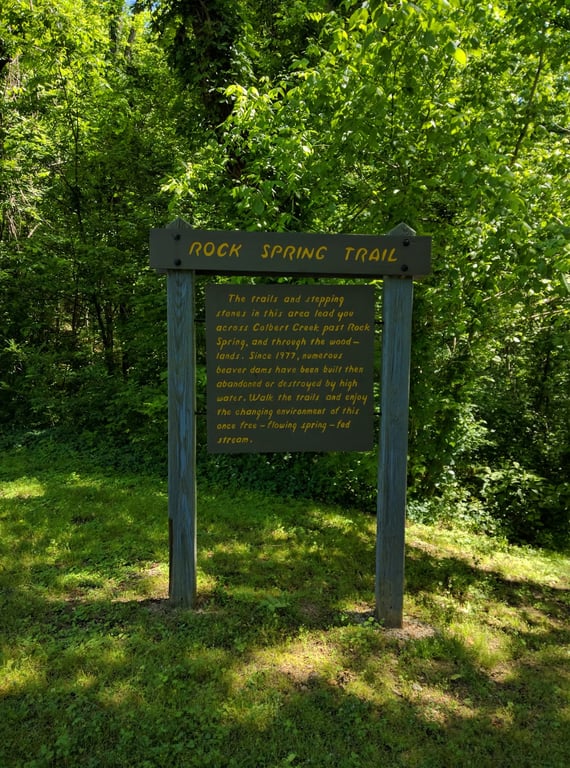 Natchez Trace Parkway Scenic Overlook