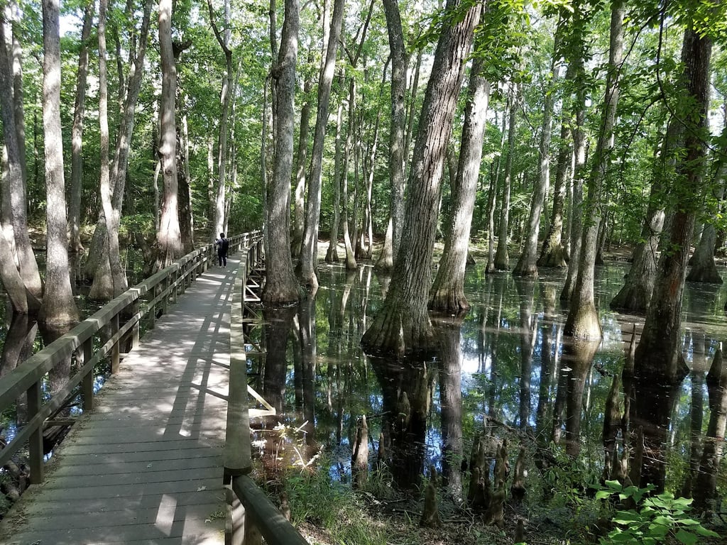 Natchez Trace Parkway Scenic Overlook