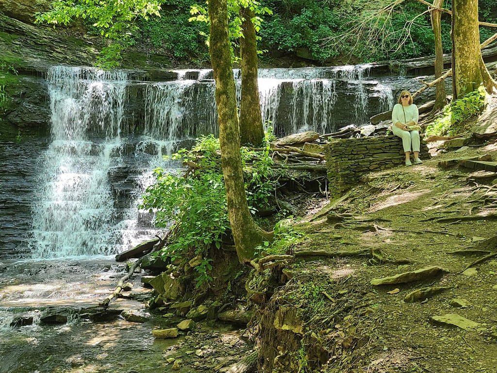 Natchez Trace Parkway Scenic Overlook