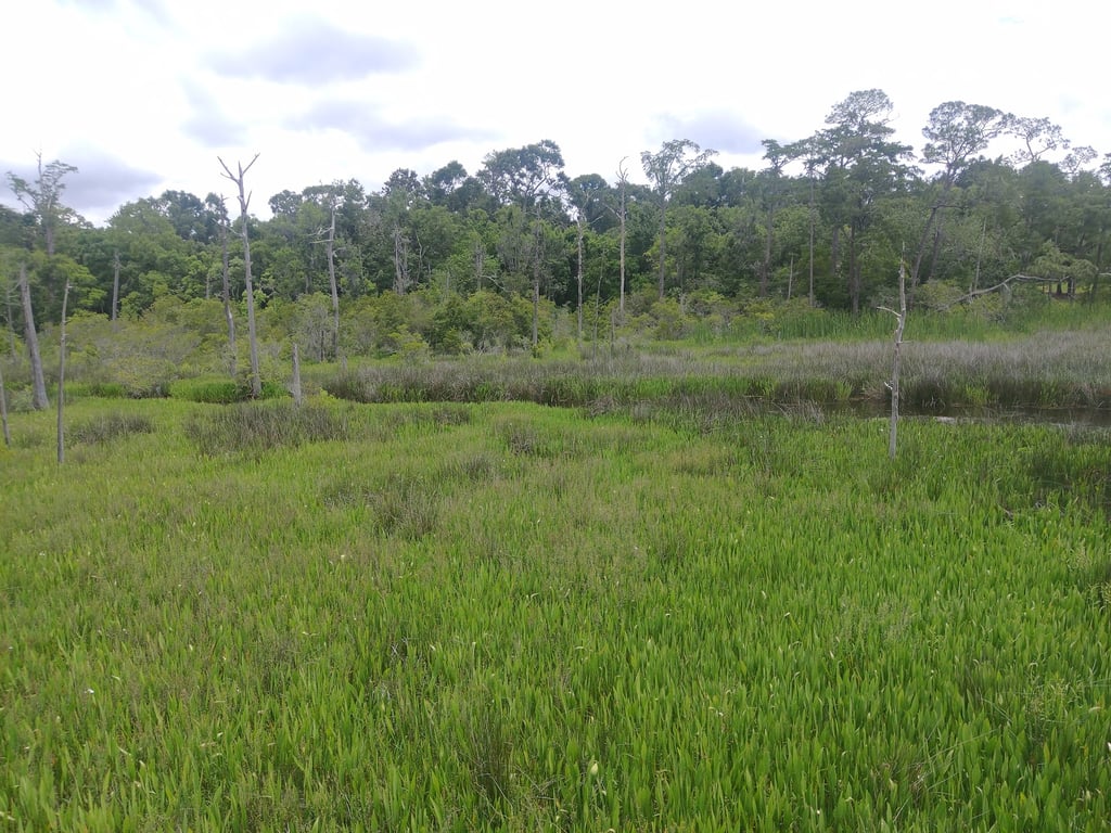 Pascagoula River Audubon Center