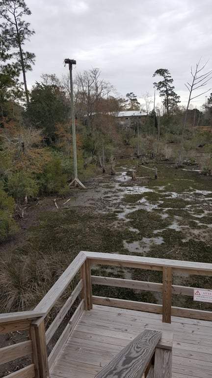Pascagoula River Audubon Center