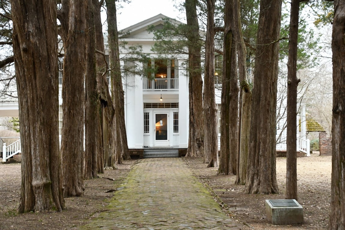 Rowan Oak