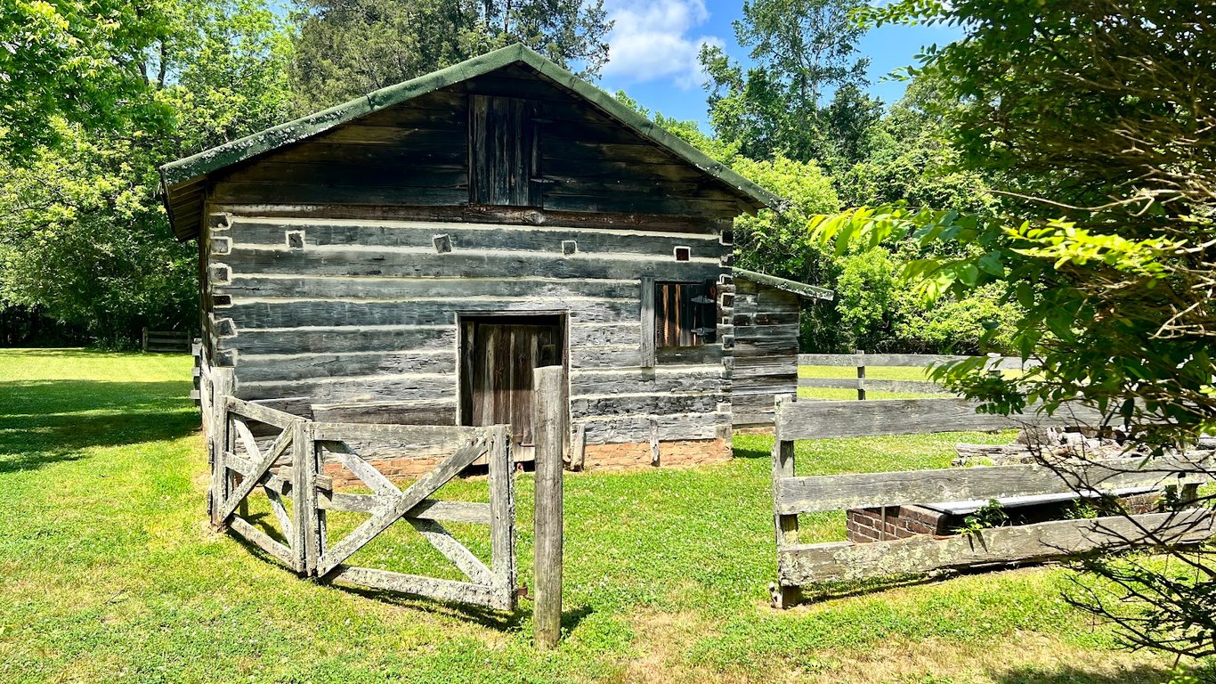 Rowan Oak
