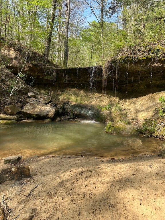 Sunken Trace