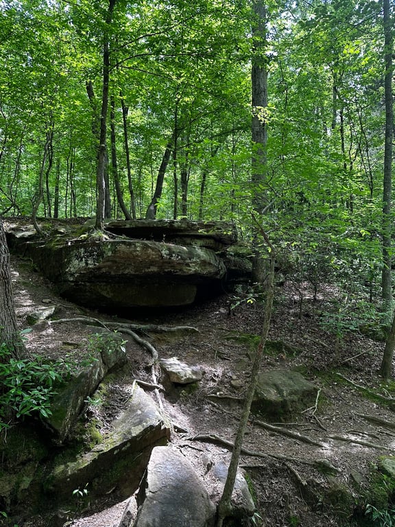 Tishomingo State Park