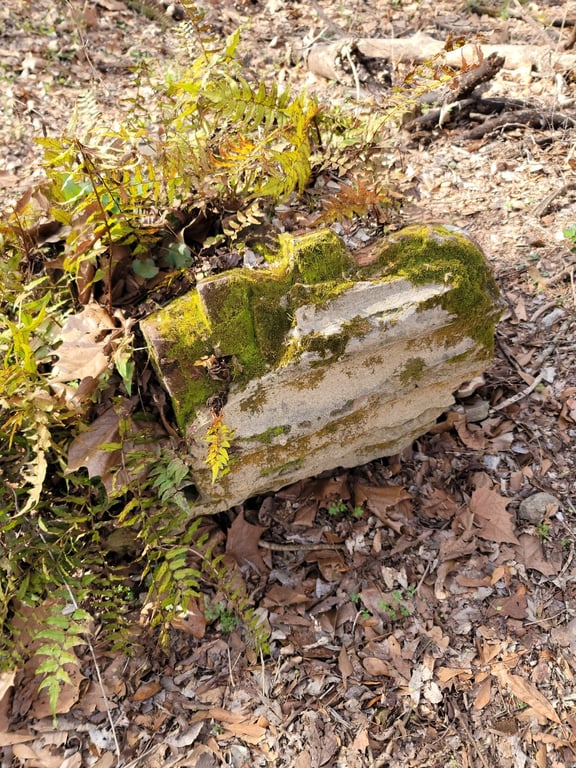 Windsor Ruins