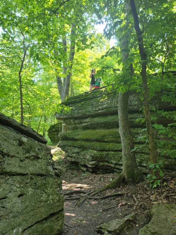Burr Oak Woods Nature Center
