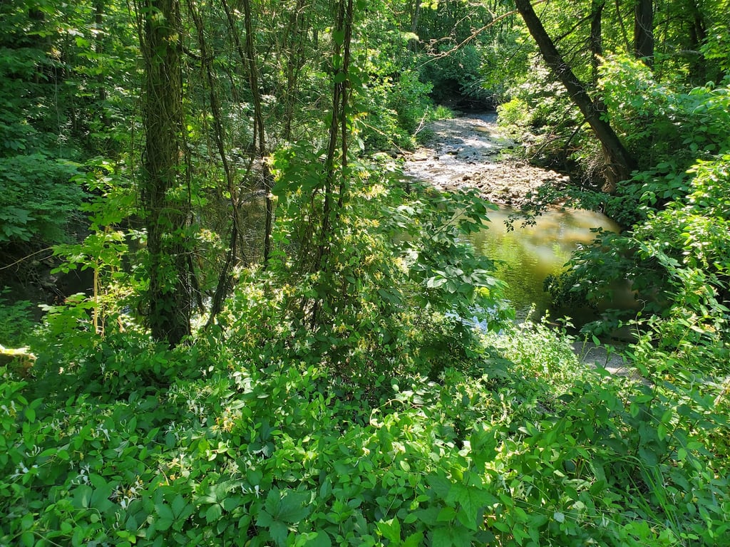 Burr Oak Woods Nature Center