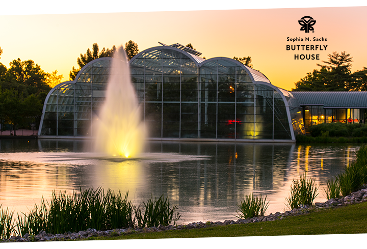 Faust Park Butterfly House