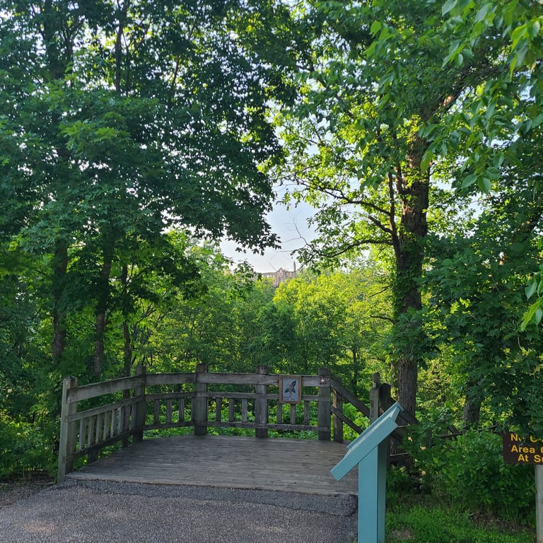Ha Ha Tonka Spring