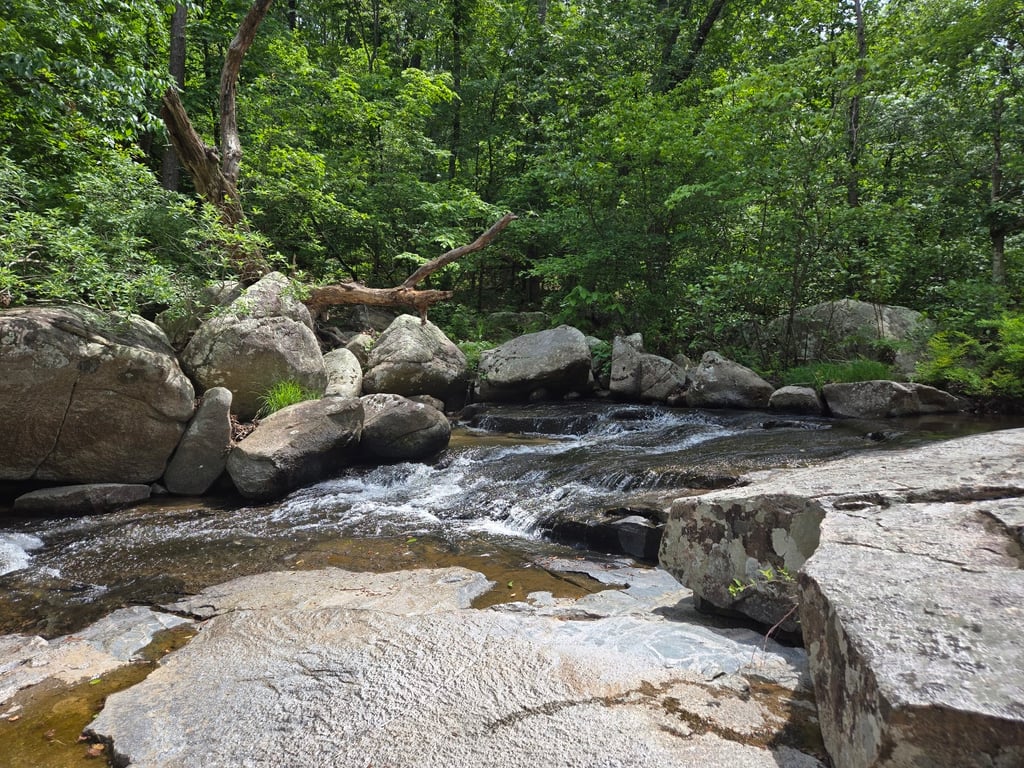 Hawn State Park