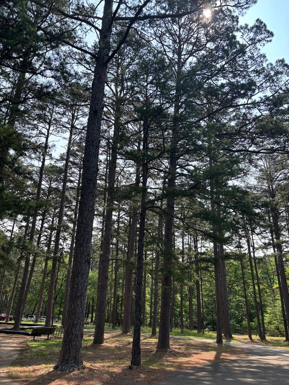 Hawn State Park