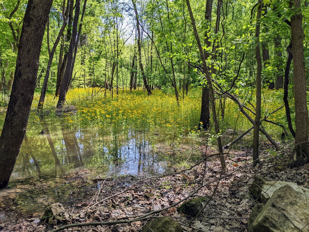 Klondike Park