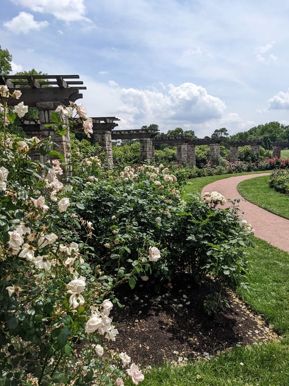 Loose Park Rose Garden