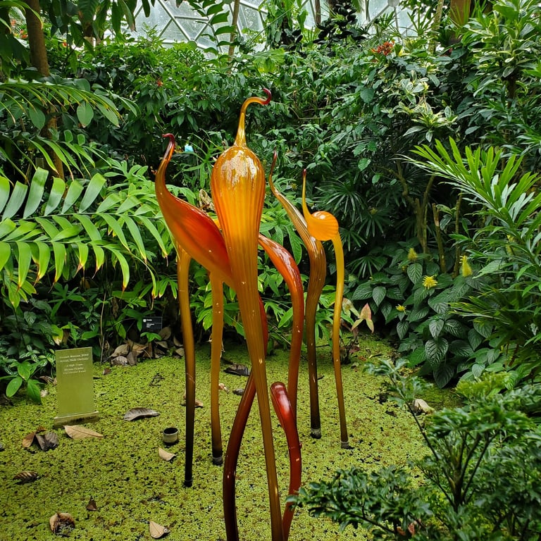 Missouri Botanical Garden