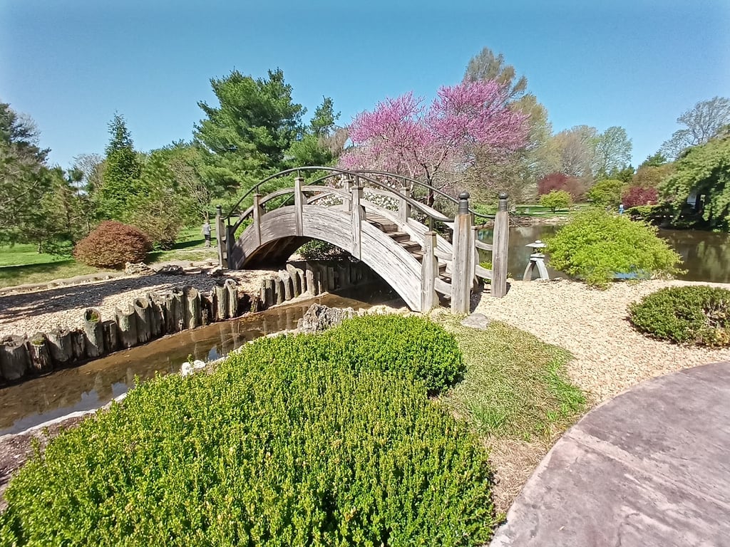 Mizumoto Japanese Stroll Garden