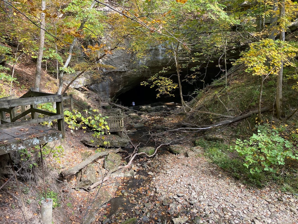Rock Bridge Memorial State Park