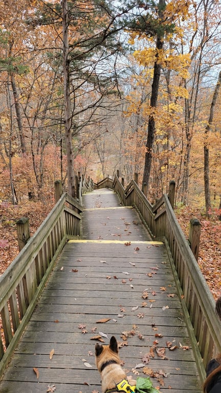 Rock Bridge Memorial State Park