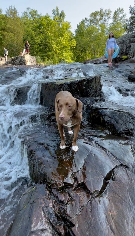 Rocky Falls