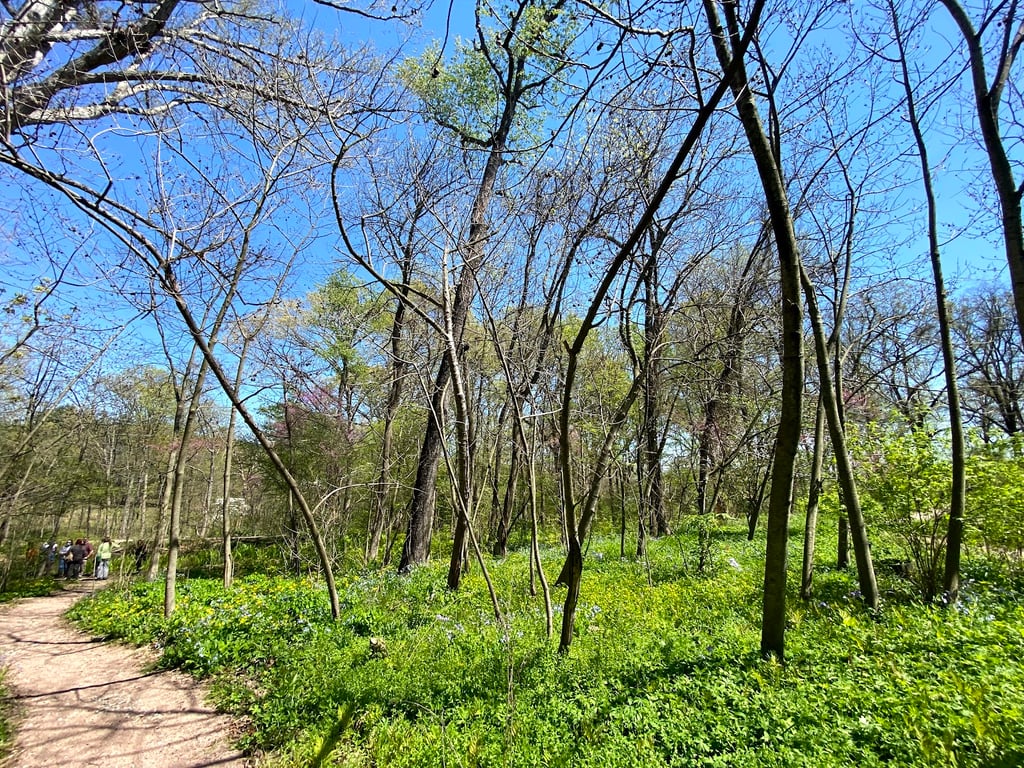 Shaw Nature Reserve