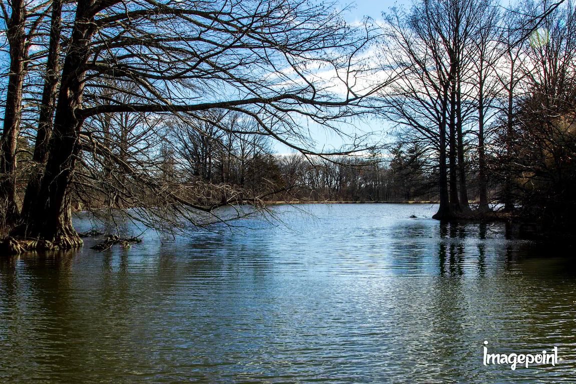 Shaw Nature Reserve