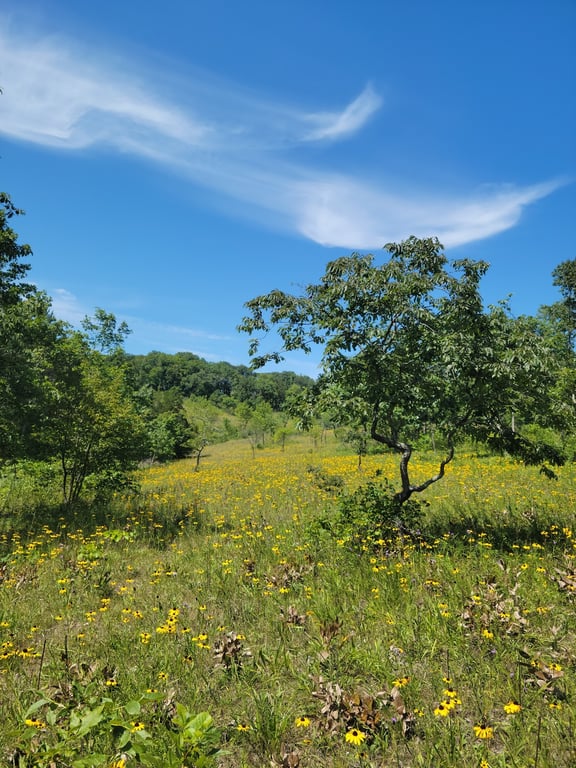Shaw Nature Reserve