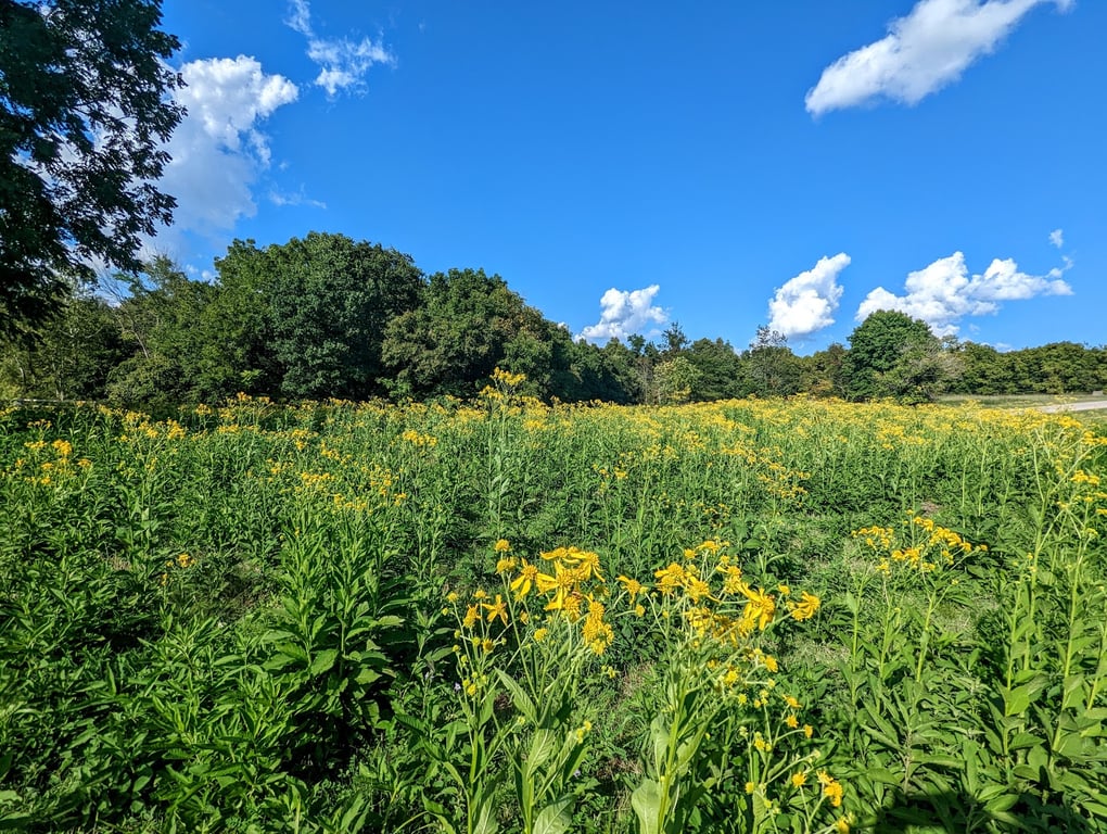 Wilson’s Creek National Battlefield