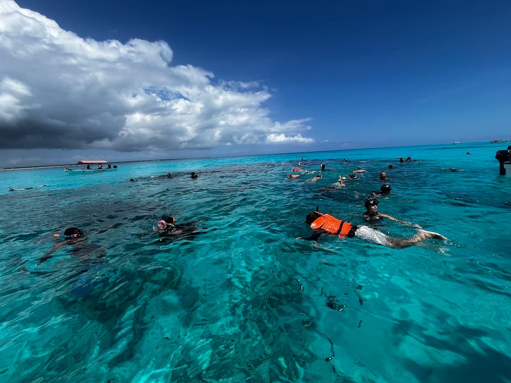 Mnemba Atoll