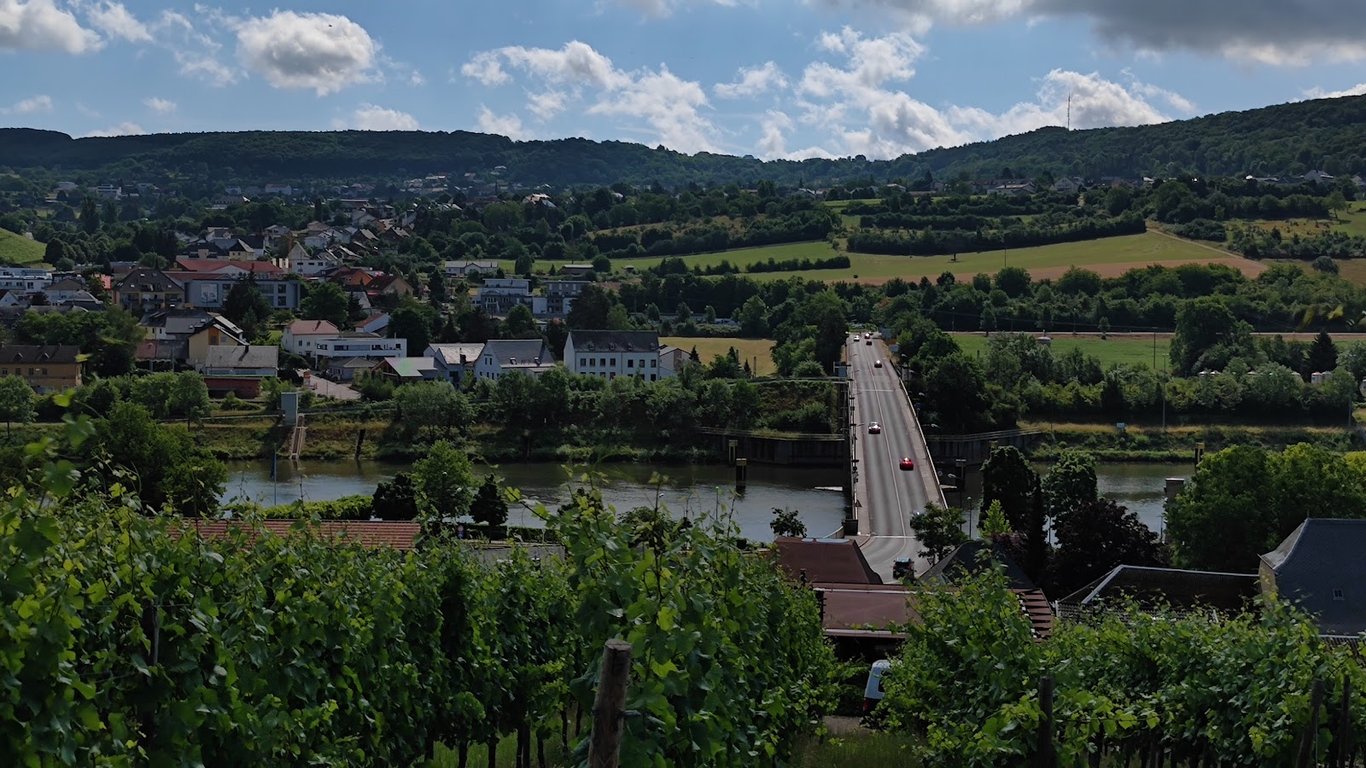 Moselle Valley Vineyards
