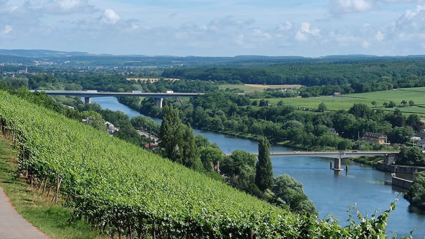 Moselle Valley Vineyards