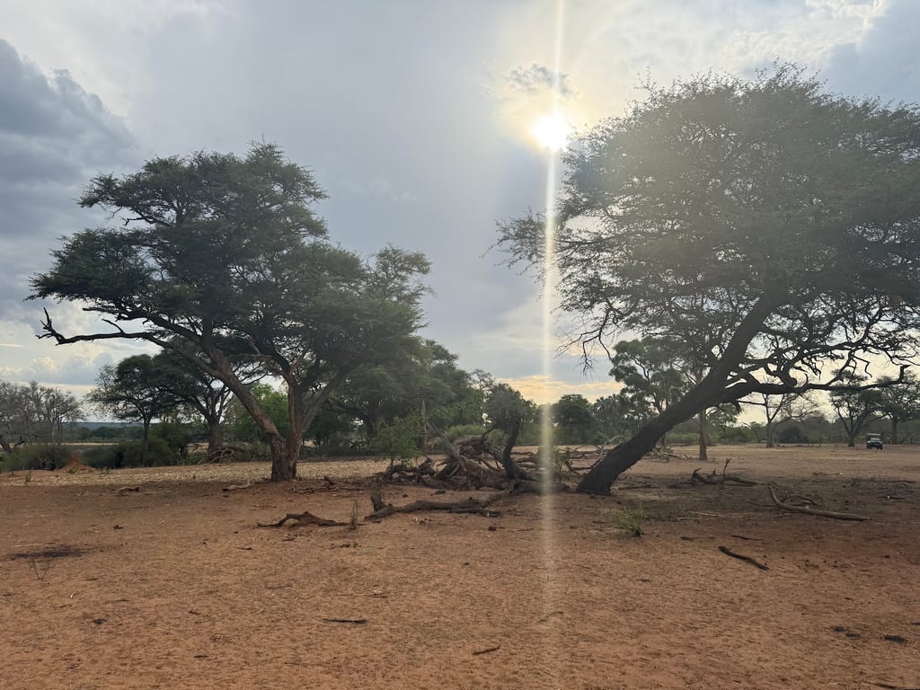 Mosi-oa-Tunya National Park