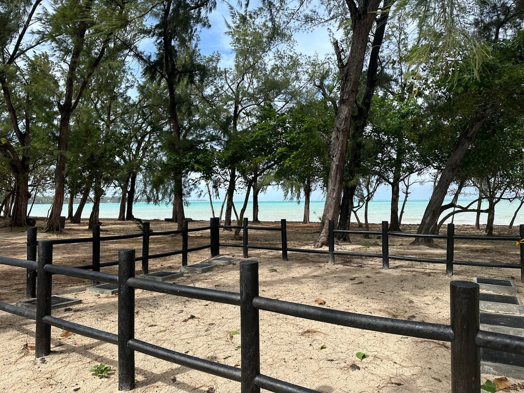 Mont Choisy Beach