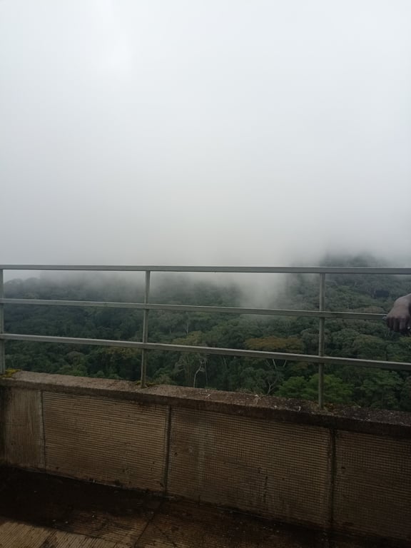 Mont Tonkoui