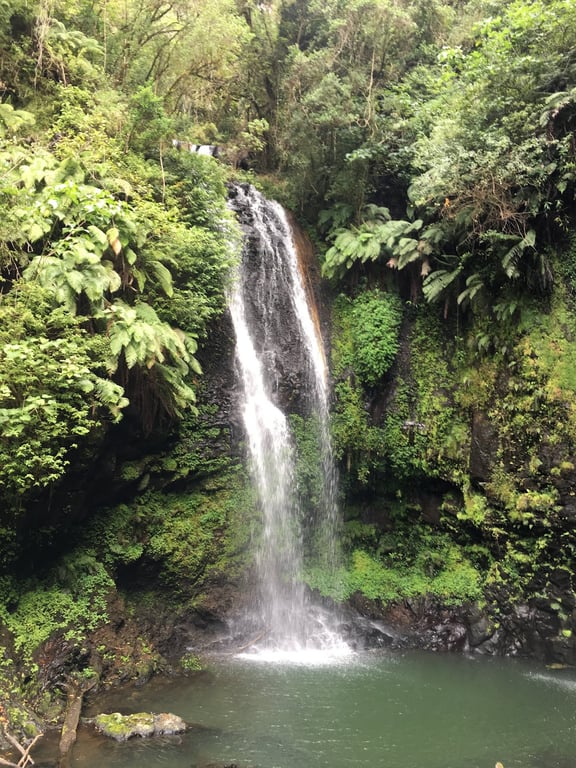 Montagne d’Ambre NP