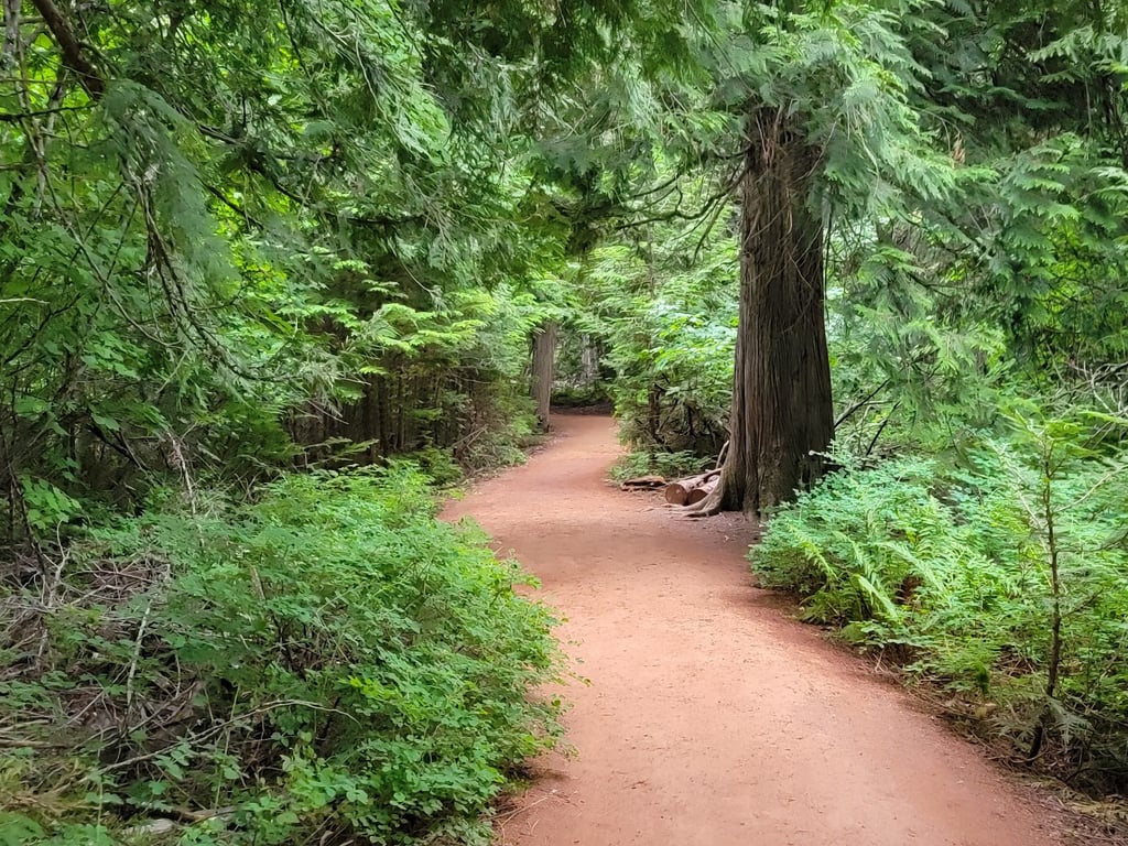 Avalanche Lake