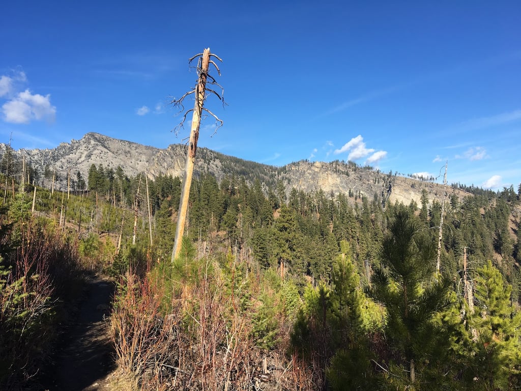 Blodgett Canyon Overlook