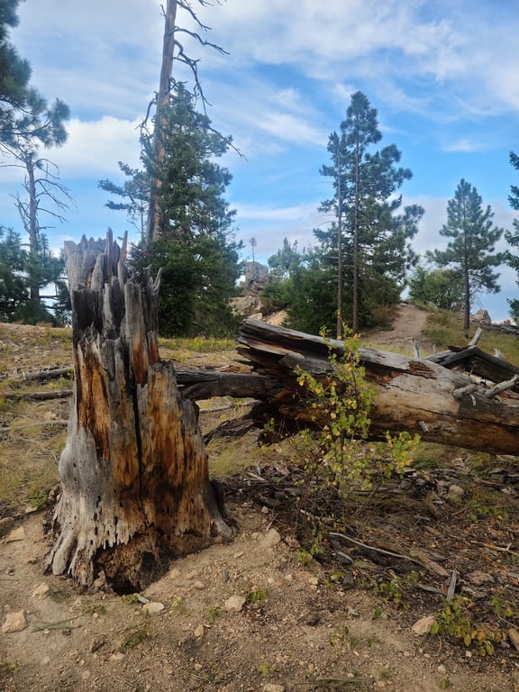 Blodgett Canyon Overlook