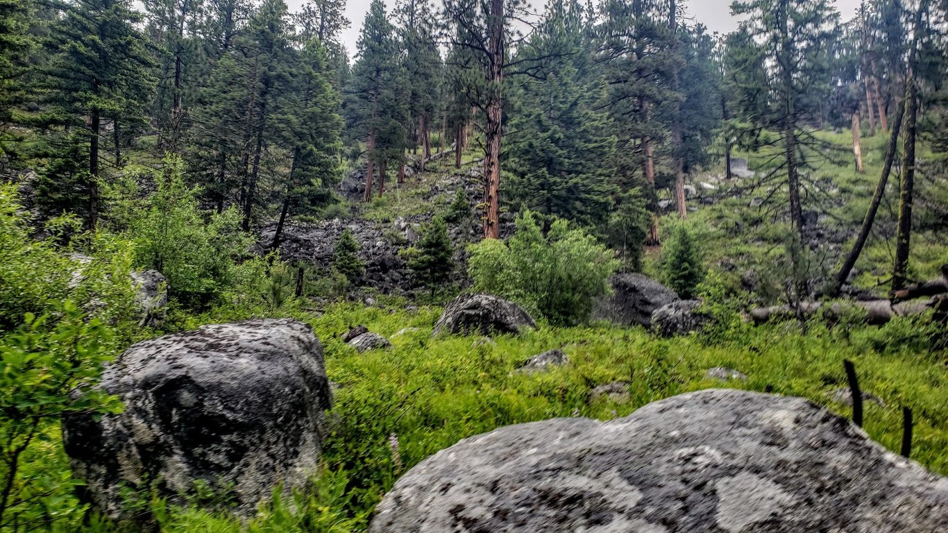 Blodgett Canyon Overlook