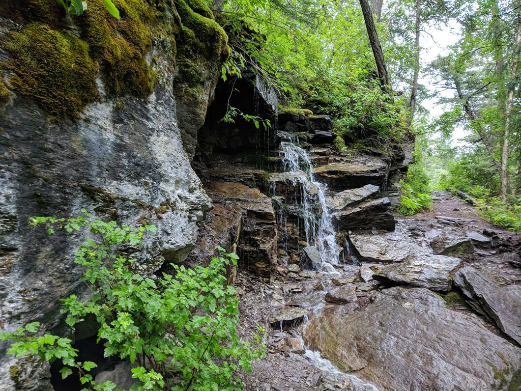 Columbia Mountain Trail