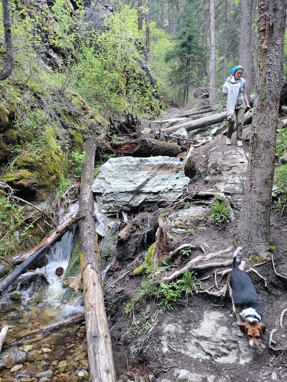 Columbia Mountain Trail