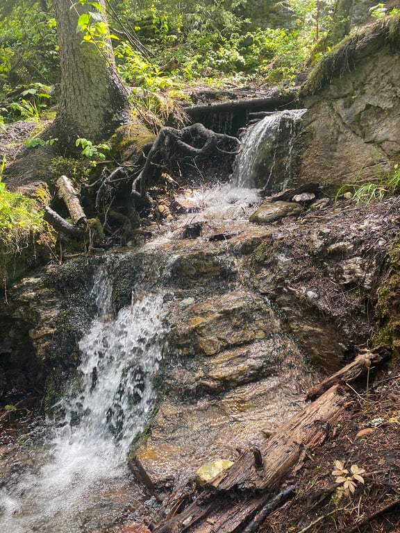 Columbia Mountain Trail