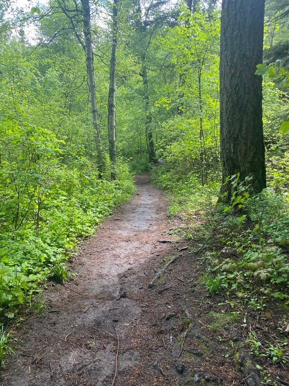 Columbia Mountain Trail