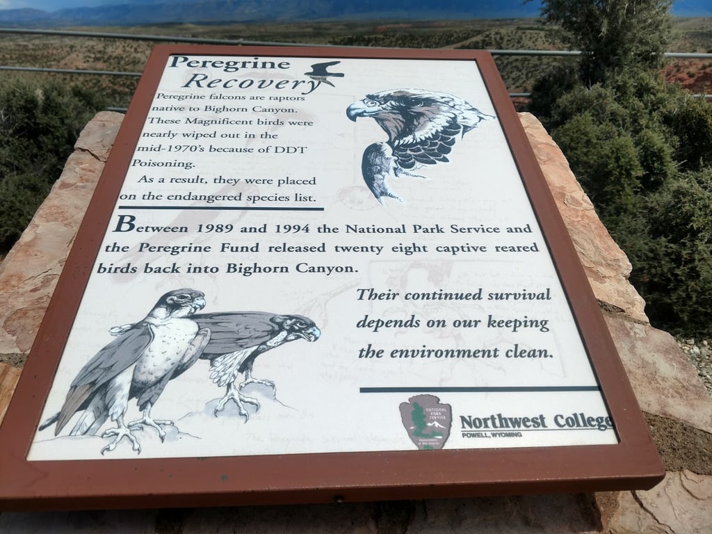 Devil's Canyon Overlook