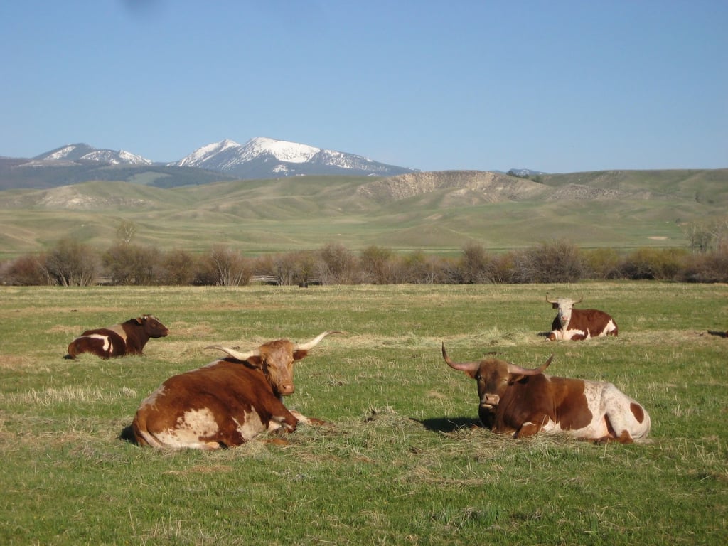 Grant-Kohrs Ranch