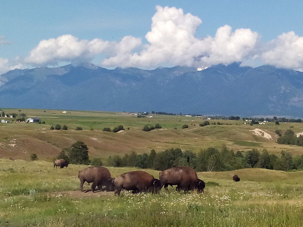 National Bison Range