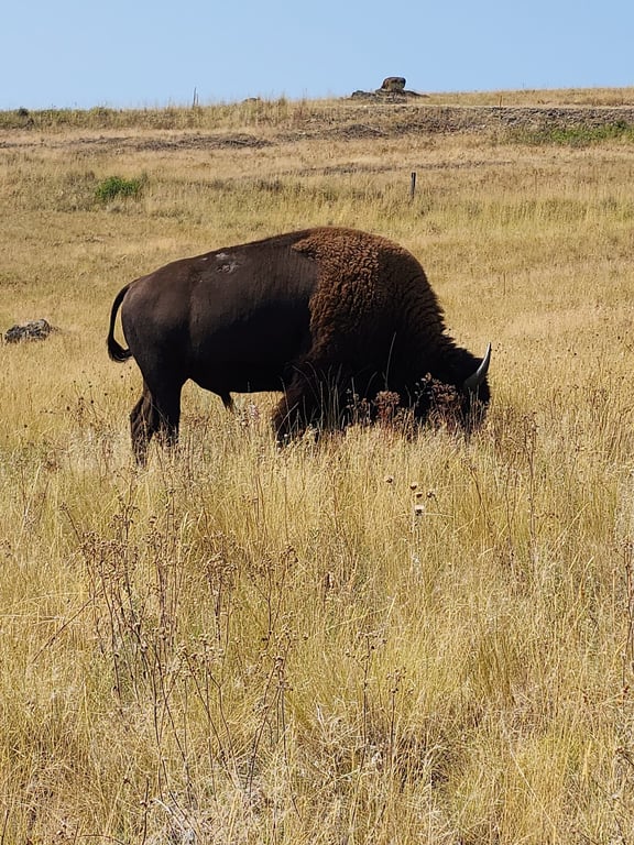 National Bison Range
