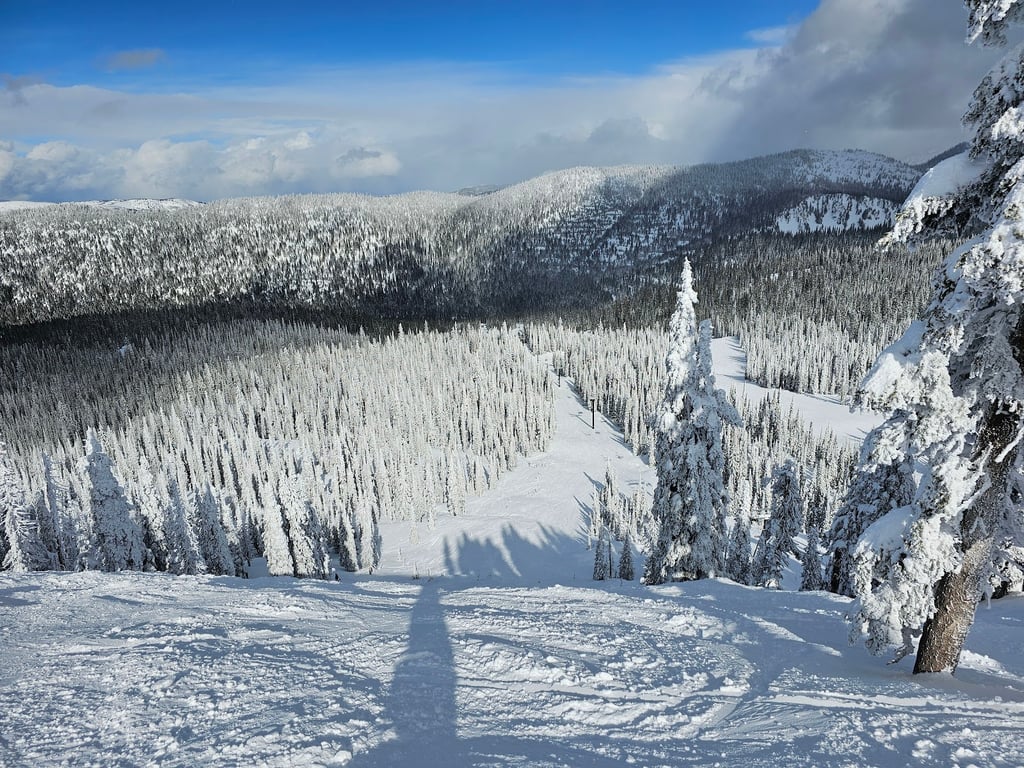 Whitefish Mountain Summit