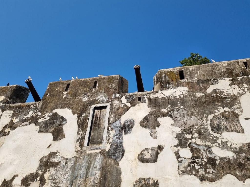 Monte Fort