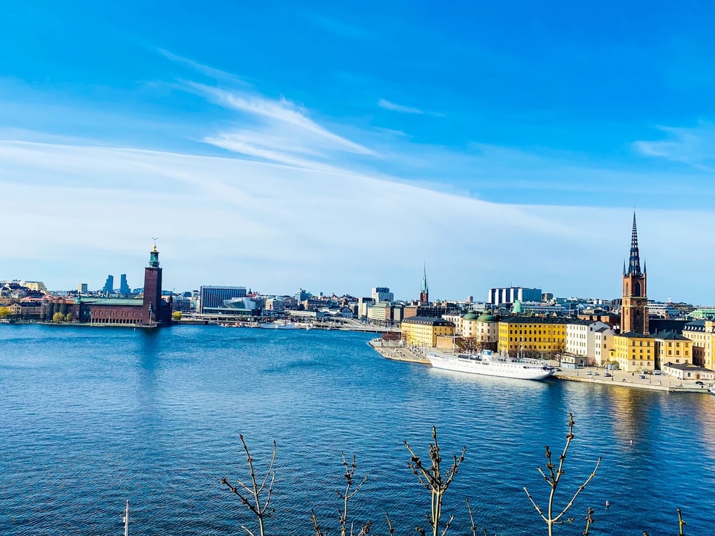 Monteliusvägen Viewpoint